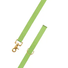 Spring Green Surcingle Dog Leash